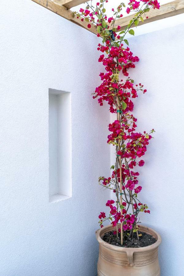 Lemon Suites Santorini Fira  Ngoại thất bức ảnh